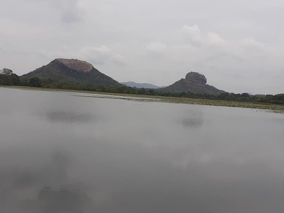 Sigiriya Village Home Stay Екстер'єр фото