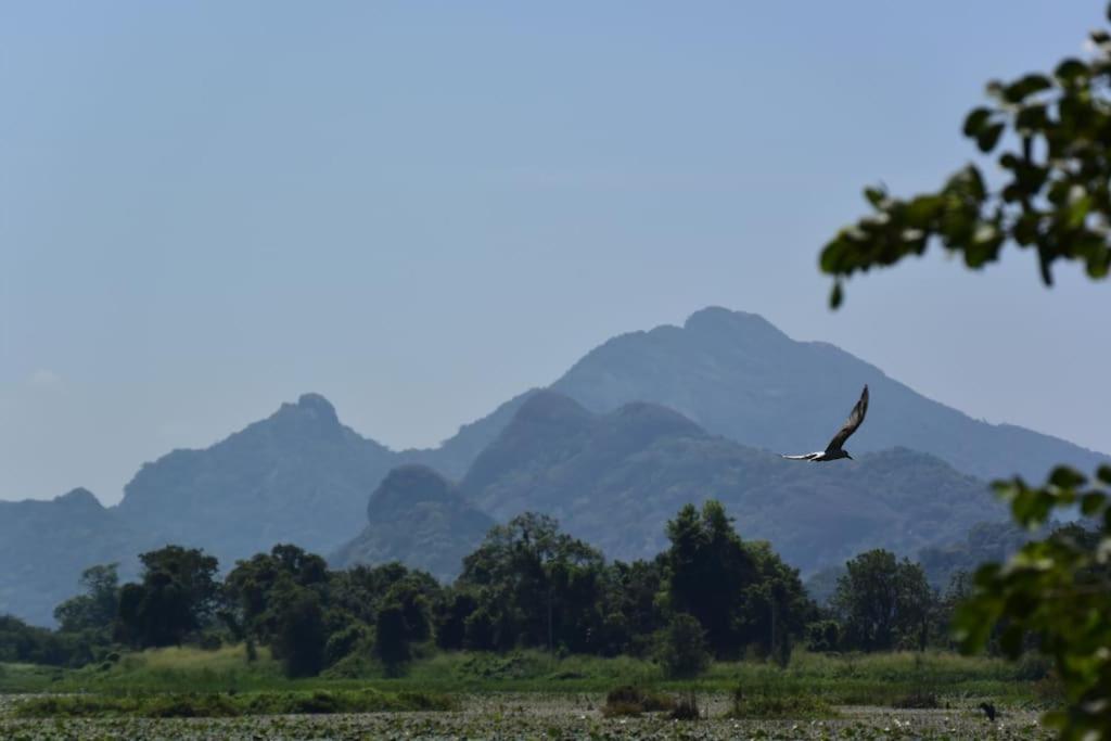 Sigiriya Village Home Stay Екстер'єр фото