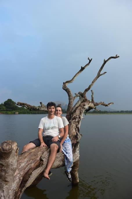 Sigiriya Village Home Stay Екстер'єр фото